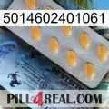 5014602401061 44